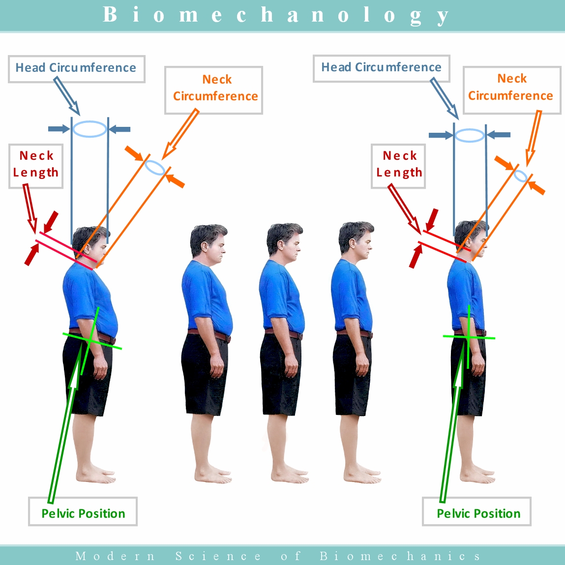 Biomechanology